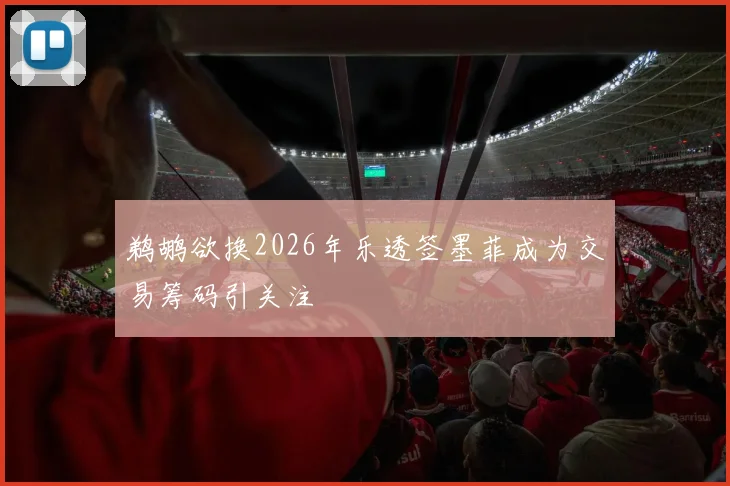 鹈鹕欲换2026年乐透签墨菲成为交易筹码引关注