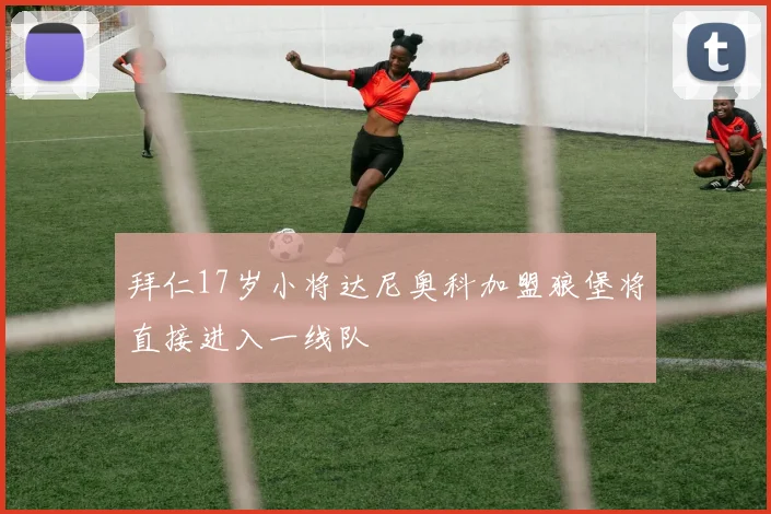 拜仁17岁小将达尼奥科加盟狼堡将直接进入一线队