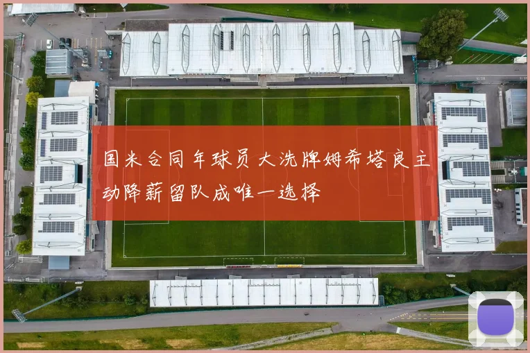 国米合同年球员大洗牌姆希塔良主动降薪留队成唯一选择
