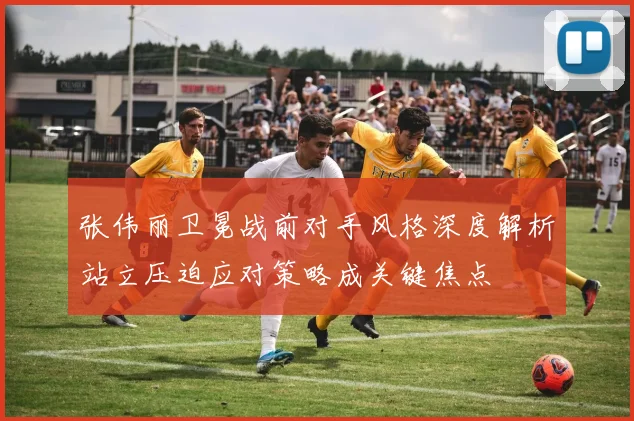 张伟丽卫冕战前对手风格深度解析站立压迫应对策略成关键焦点