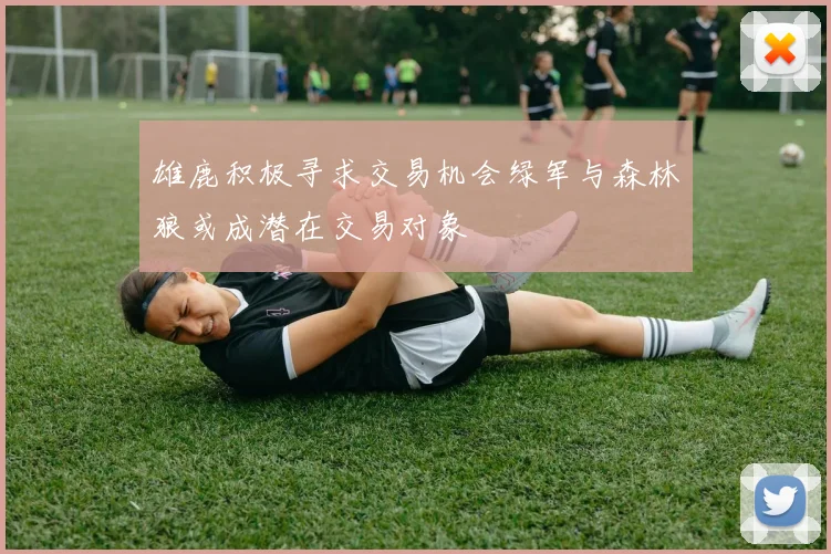 雄鹿积极寻求交易机会绿军与森林狼或成潜在交易对象