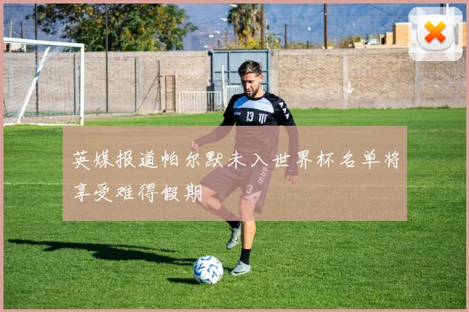 英媒报道帕尔默未入世界杯名单将享受难得假期